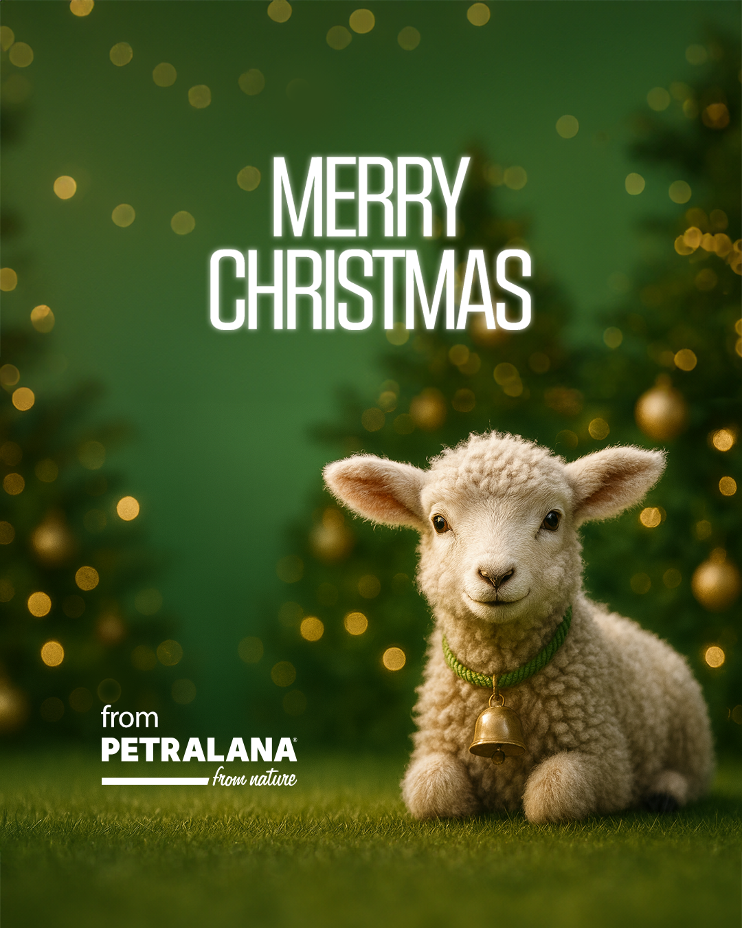 MERRY CHRISTMAS 2025